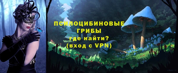 ПСИЛОЦИБИНОВЫЕ ГРИБЫ Алексин